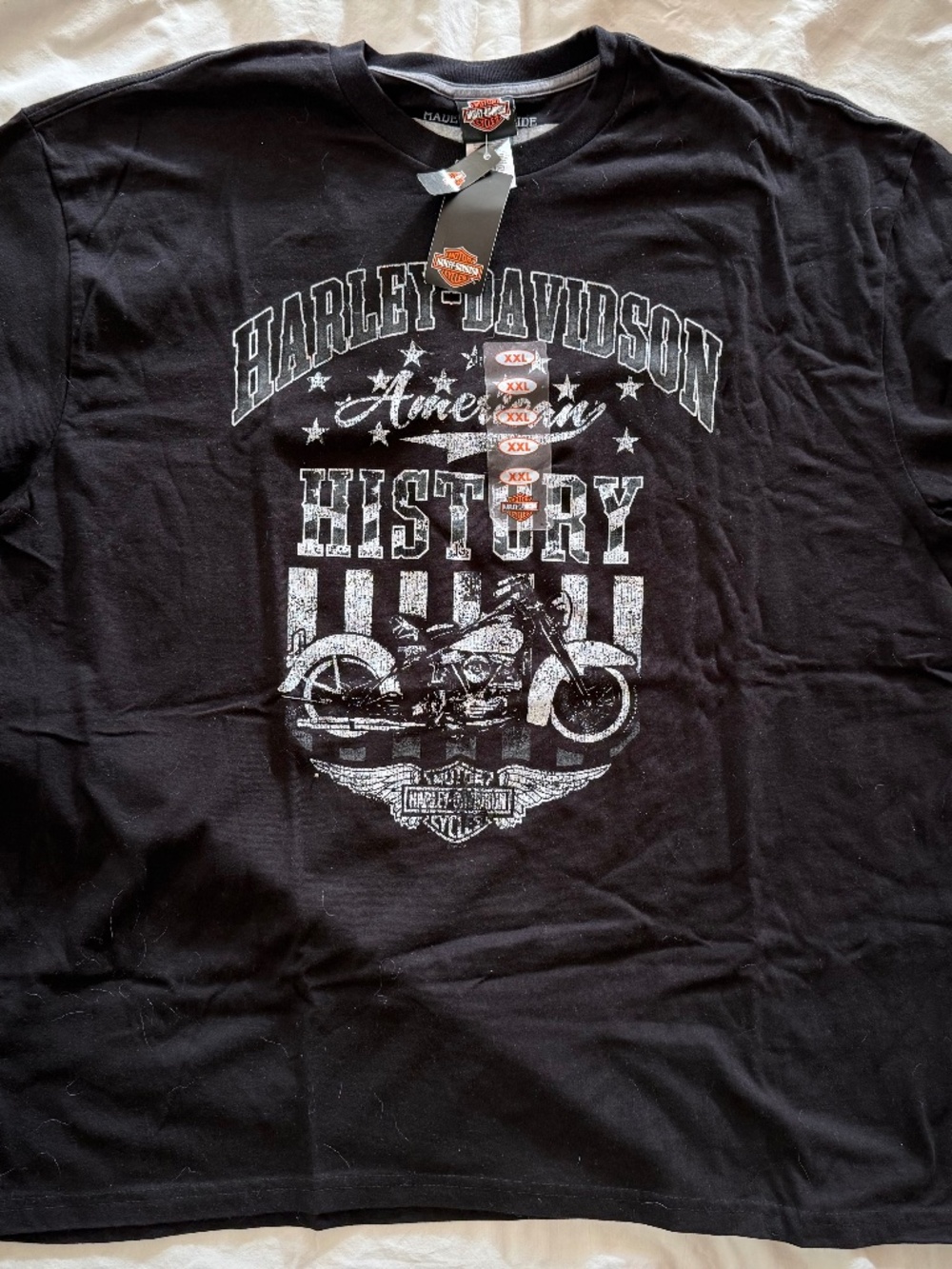 Men's Harley Davidson T-shirt